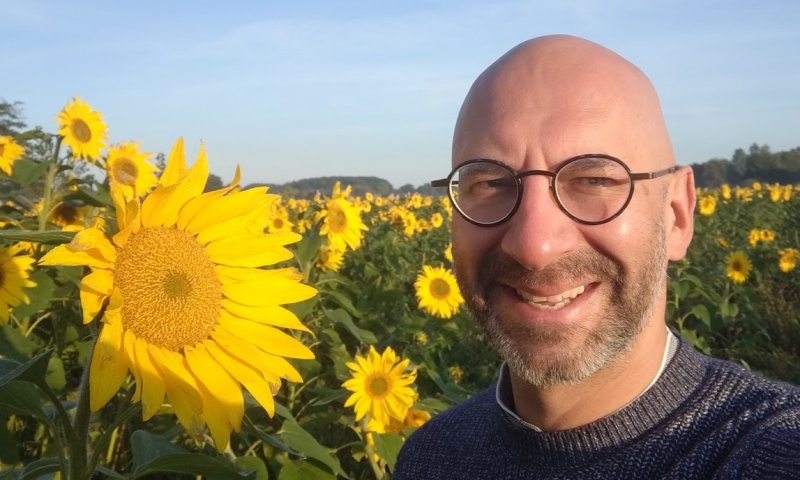 zonnebloem